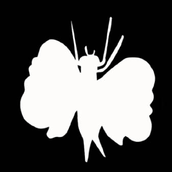 Insects & creepy-crawlies